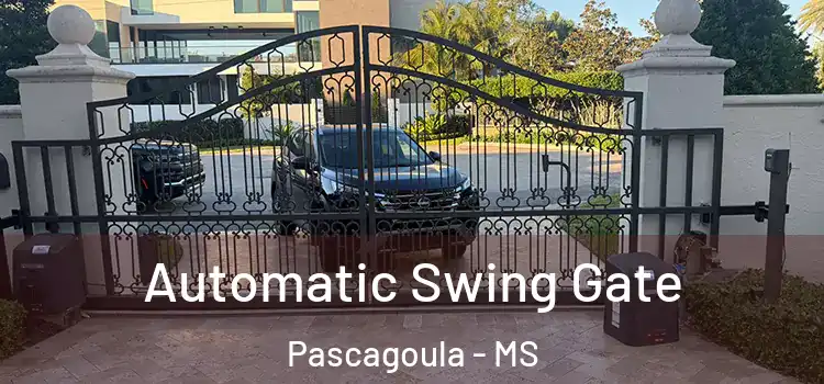  Automatic Swing Gate Pascagoula - MS