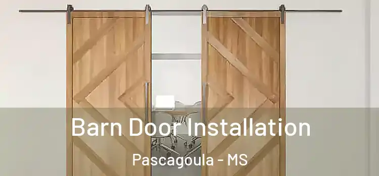  Barn Door Installation Pascagoula - MS