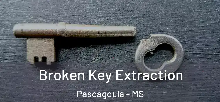  Broken Key Extraction Pascagoula - MS