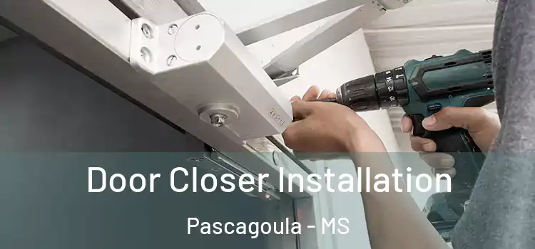  Door Closer Installation Pascagoula - MS