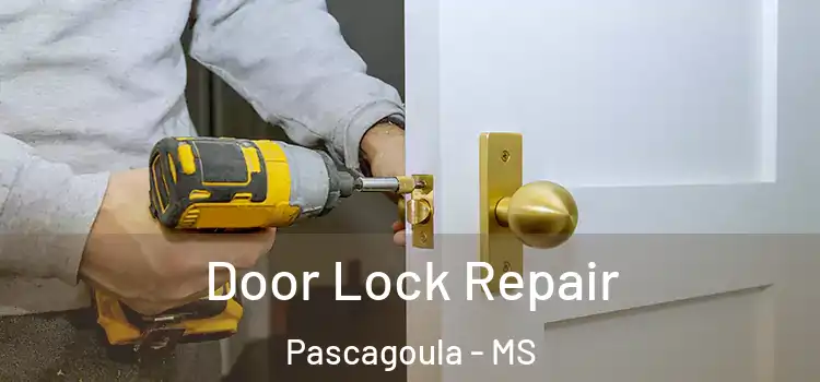 Door Lock Repair Pascagoula - MS