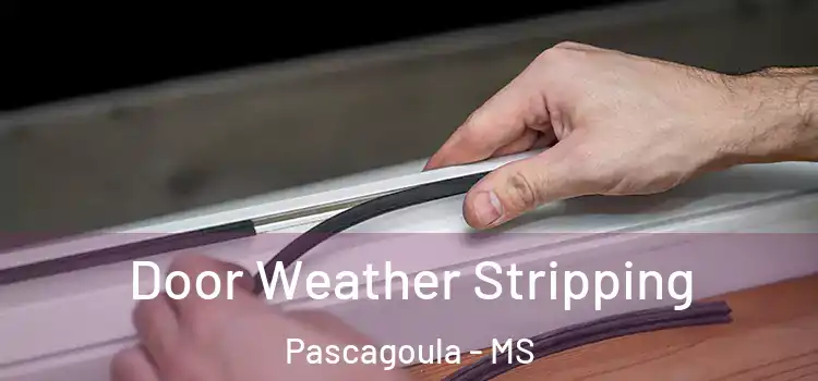 Door Weather Stripping Pascagoula - MS