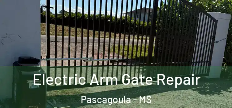  Electric Arm Gate Repair Pascagoula - MS