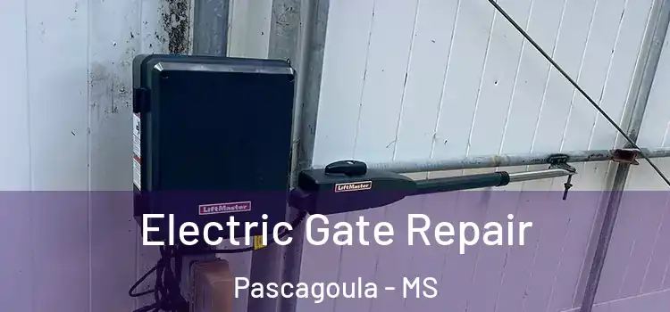 Electric Gate Repair Pascagoula - MS