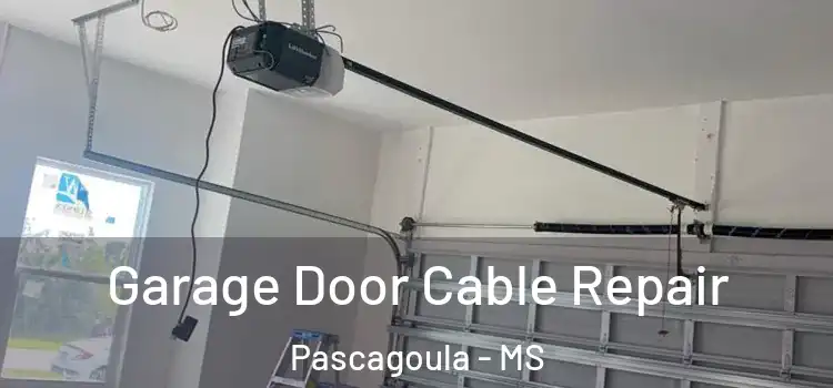  Garage Door Cable Repair Pascagoula - MS