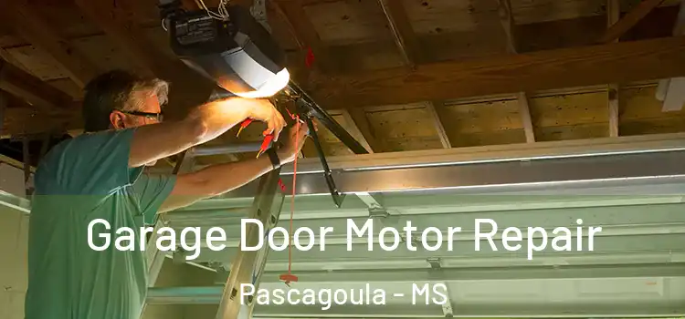  Garage Door Motor Repair Pascagoula - MS