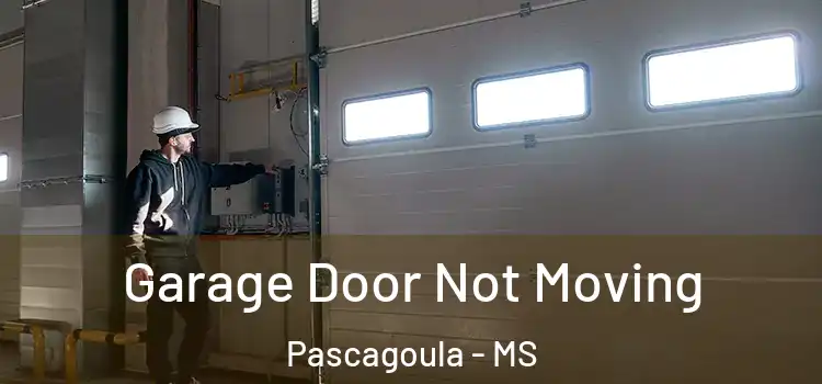  Garage Door Not Moving Pascagoula - MS