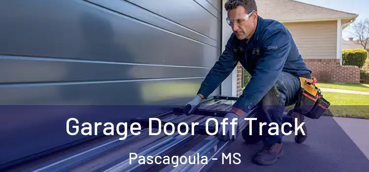  Garage Door Off Track Pascagoula - MS