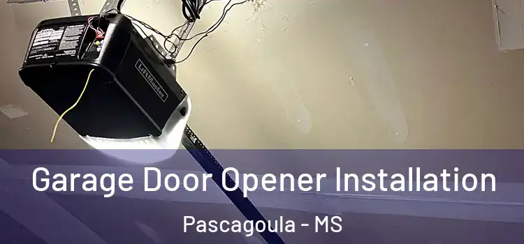  Garage Door Opener Installation Pascagoula - MS