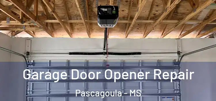  Garage Door Opener Repair Pascagoula - MS