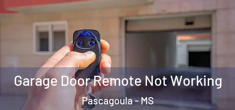  Garage Door Remote Not Working Pascagoula - MS