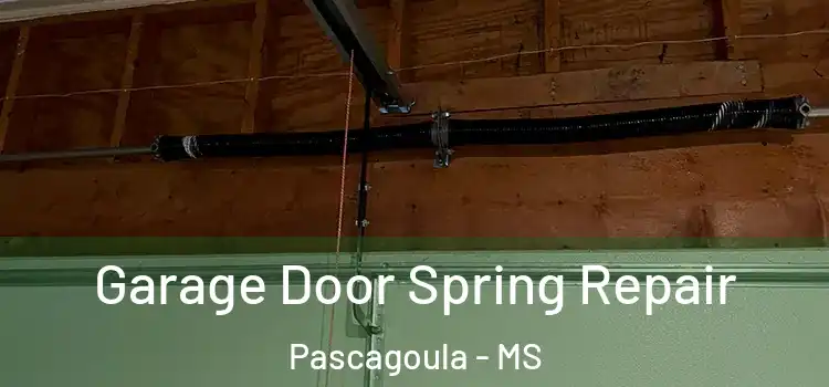  Garage Door Spring Repair Pascagoula - MS