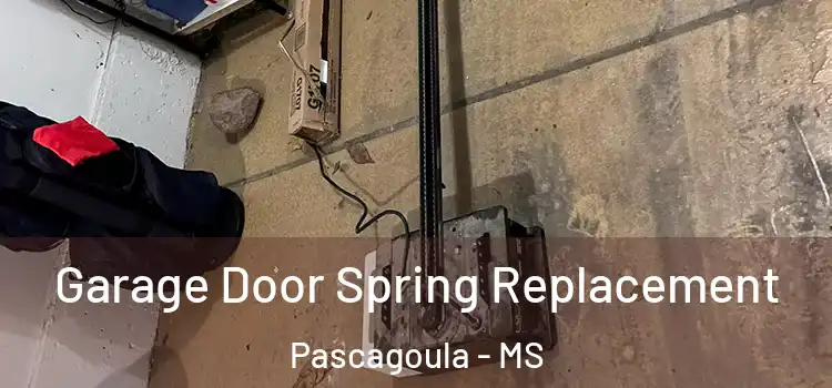  Garage Door Spring Replacement Pascagoula - MS
