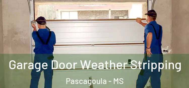  Garage Door Weather Stripping Pascagoula - MS