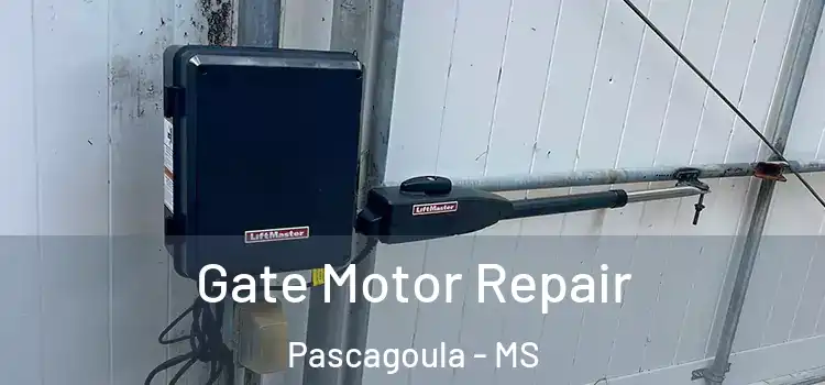 Gate Motor Repair Pascagoula - MS