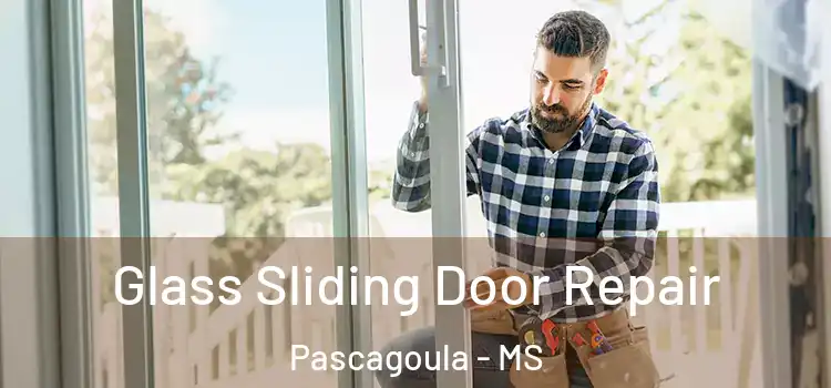  Glass Sliding Door Repair Pascagoula - MS