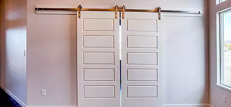 Glass Barn Door with Installation Hardware Kit Pascagoula