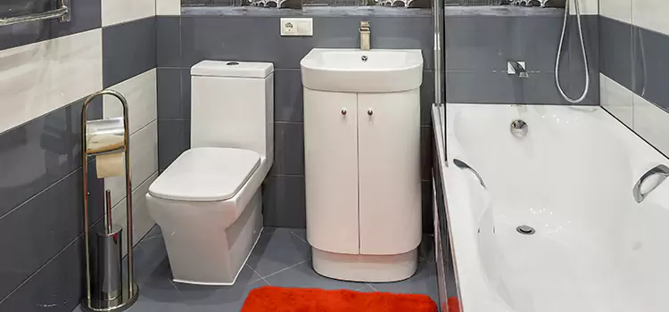 Hansgrohe Shaving Mirror Pascagoula