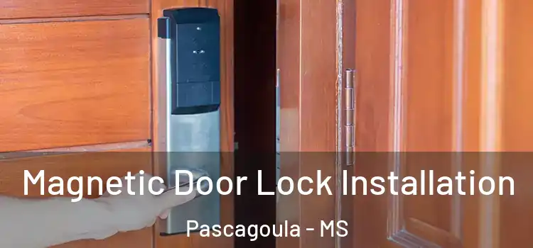  Magnetic Door Lock Installation Pascagoula - MS