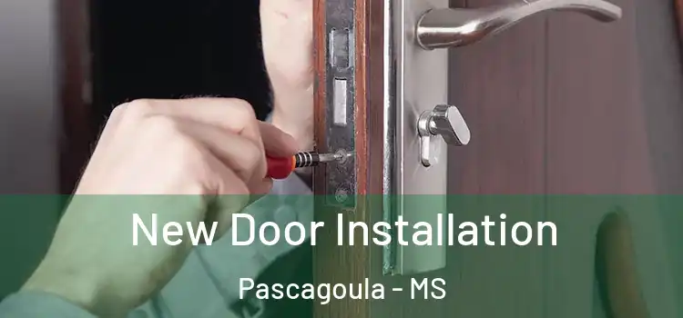  New Door Installation Pascagoula - MS