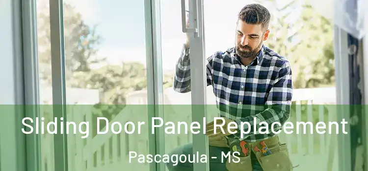  Sliding Door Panel Replacement Pascagoula - MS