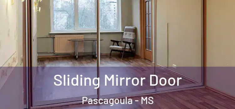 Sliding Mirror Door Pascagoula - MS