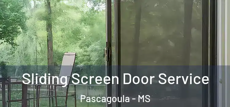 Sliding Screen Door Service Pascagoula - MS